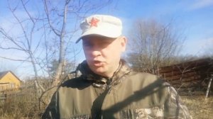 Надо ли замазывать спилы у деревьев