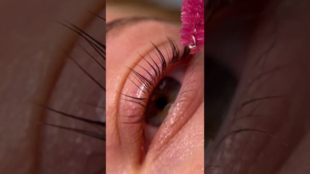 Клеим ресницы без клея ? ламинирование ресниц Москва, м. Павелецкая - ohh_tany смотреть онлайн