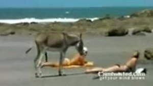 Осел и девушка советую посмотреть