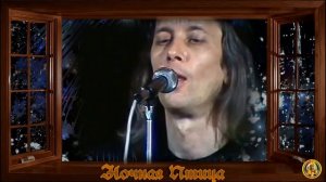 Константин Никольский Ночная Птица HD