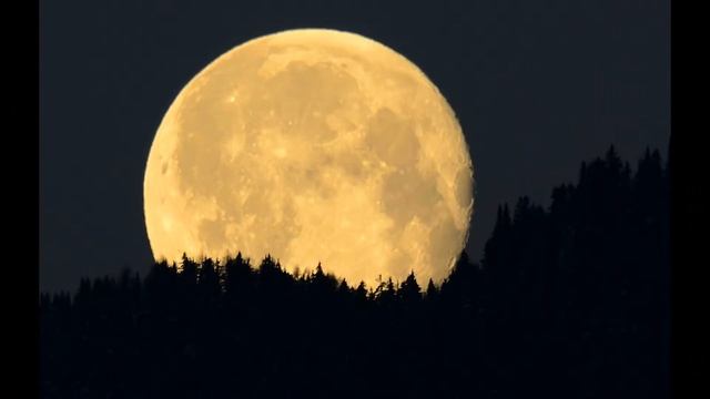 Юрий Панюшкин - "Заповедная страна" смотреть онлайн