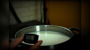 Сыр моцарелла в домашних условиях из коровьего молока рецепт с фото пошагово