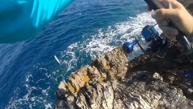 ZENAQ Shore jigging Mahi Mahi смотреть онлайн