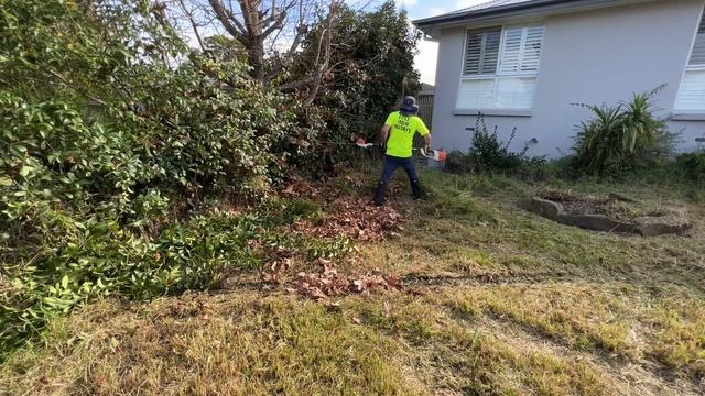 He MOWS, TRIMS, HEDGES and even PAINTS THE LAWN! смотреть онлайн