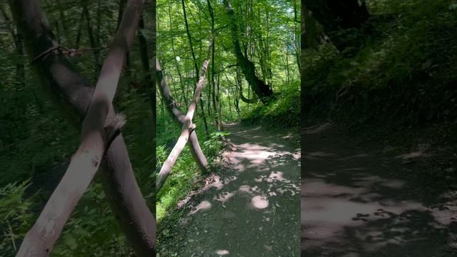 Ингушетия, водопад смотреть онлайн