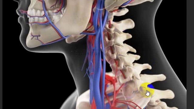 ВПРАВЛЕНИЕ ВИБРАТОРАМИ ЕСТЬ ЛИ ЭФФЕКТ смотреть онлайн