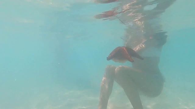 Остров Саона и Морские звезды. Доминикана смотреть онлайн