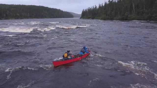 WAVEHEART! смотреть онлайн