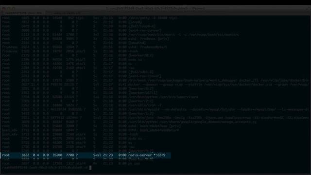 Docker BOSH Release - Part 2 смотреть онлайн