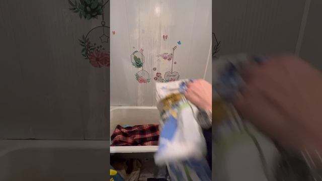 Как перекрасить пол своими руками смотреть онлайн