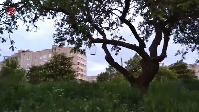 Вешаем кормушки для птиц, нашли в саду 2 ежиков смотреть онлайн