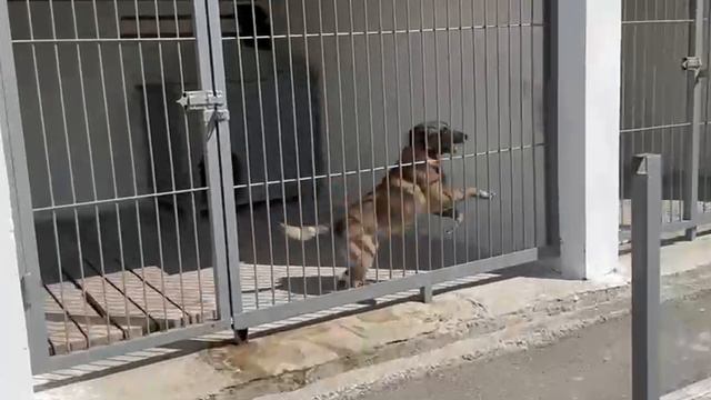 Экскурсия в воинскую часть смотреть онлайн