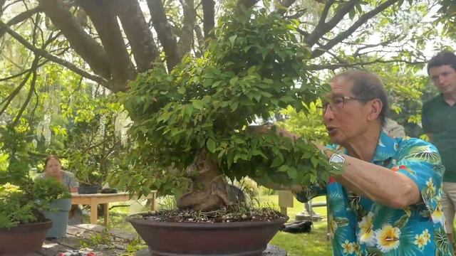 Workshop under the Wisterias смотреть онлайн