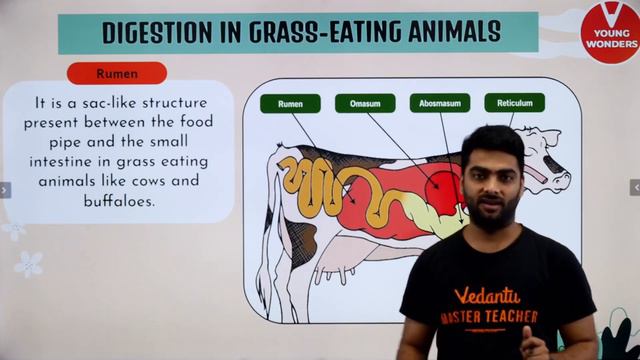 Nutrition in Animals - 2 | Shiksha 2022 | CBSE Class 7 Science | Pritesh Sir @VedantuJunior смотреть онлайн