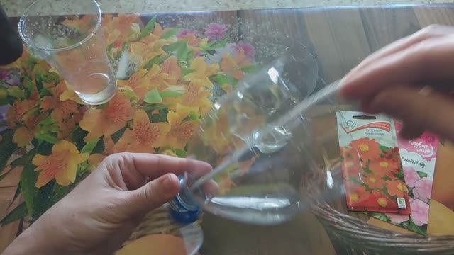 Рассаду не поливаю, помогает фитильный полив. смотреть онлайн