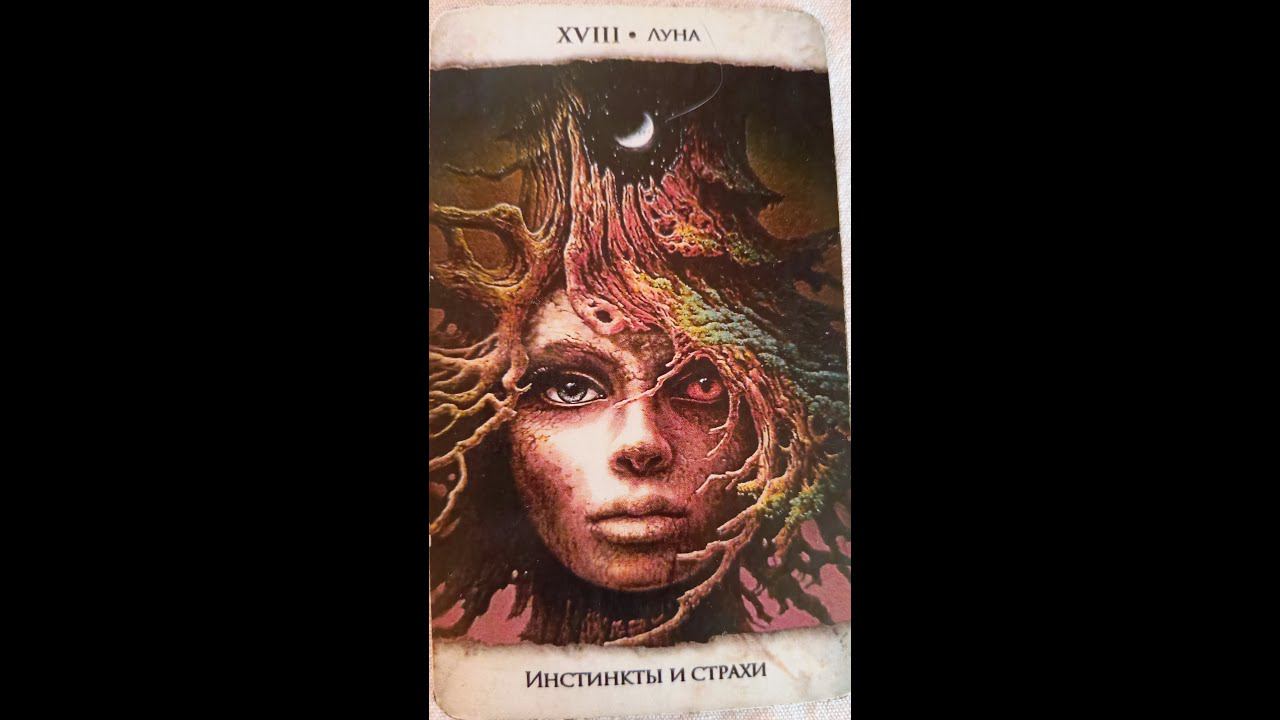 Таро прогноз на предстоящие события Декабрь 2023. Россия.