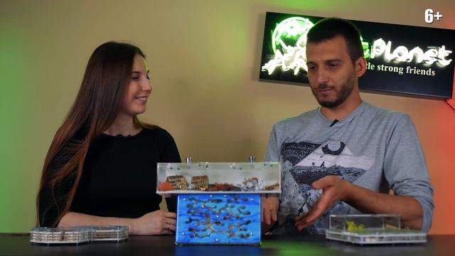 Как выглядела первая муравьиная ферма / Производство муравьиных ферм / Фармик на магнитах смотреть онлайн