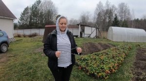 СДЕЛАЛ САМОДЕЛКУ ДЛЯ ПОИСКА ВОДЫ НА УЧАСТКЕ #ДомОгород