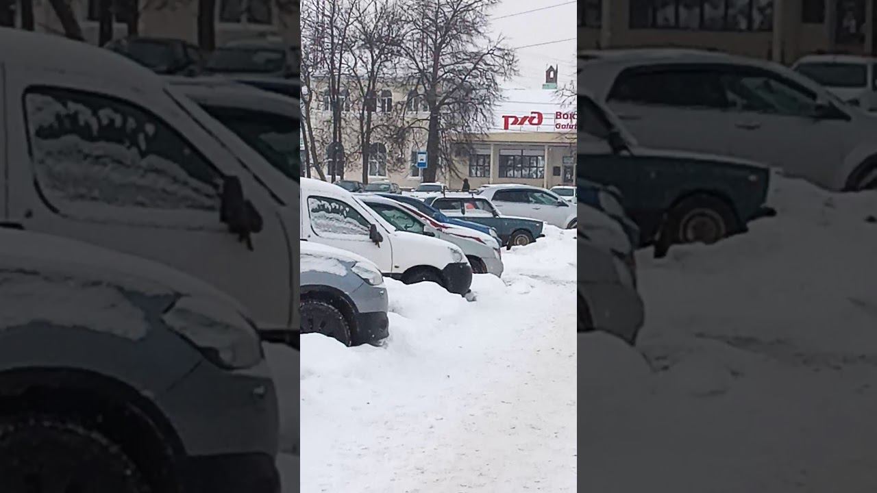 Короткое видео #6