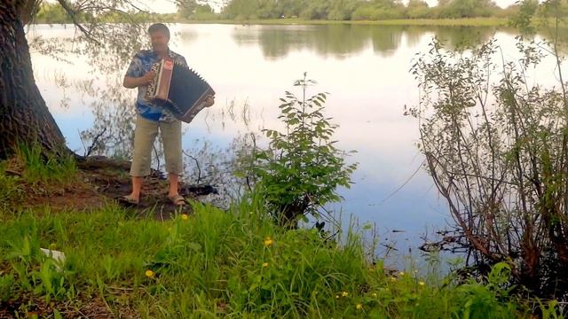 Песня-золотая рыбка. смотреть онлайн