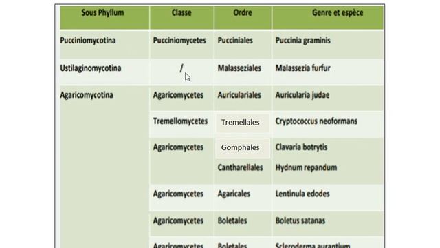 -Les Basidiomycota -partie 3