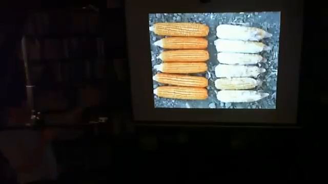 "Что же мы будем есть завтра?" "Гиперион", 28.10.14 смотреть онлайн