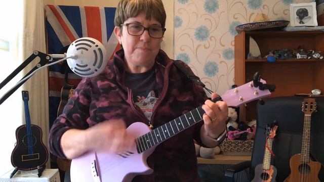 22 Mr Brightside (Ukulele Cover) смотреть онлайн