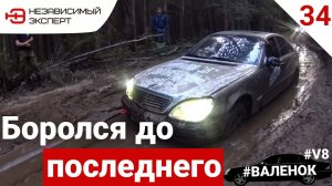 ИДИОТЫ НА МЕРСЕДЕСЕ В ЛЕСУ Часть 2.