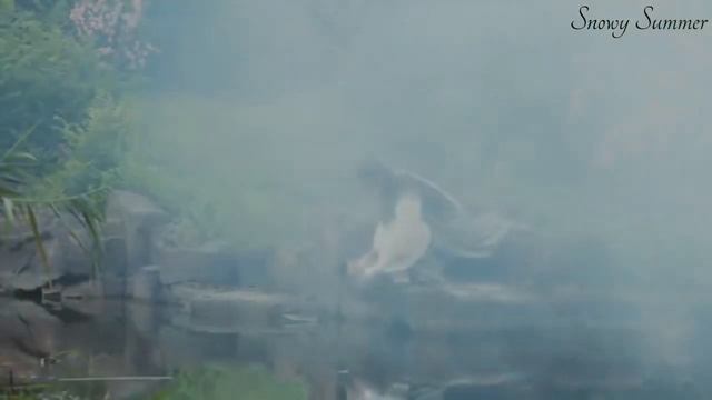 Клип к дораме Легенда о Белой Змее / Legend of White Snake / 新白娘子传奇 смотреть онлайн