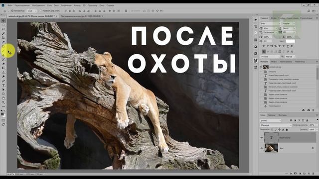 Пушистый текст смотреть онлайн