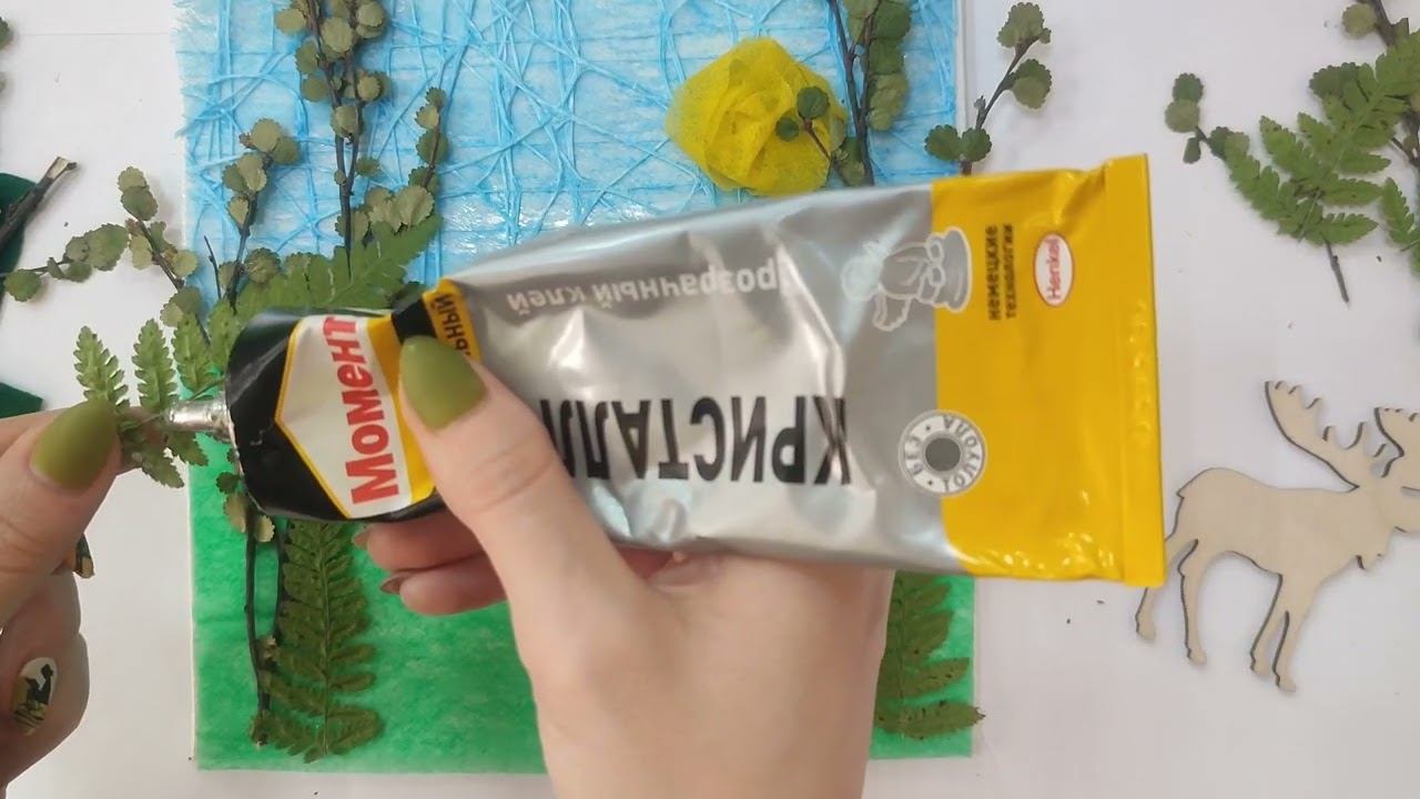 «Муса вӧр» / «Милый лес» смотреть онлайн