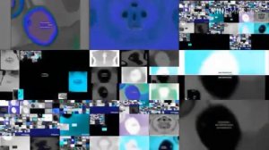 Too Many Gummy Bears In G Major 4