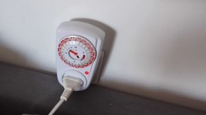 Как искупать Злого Кота