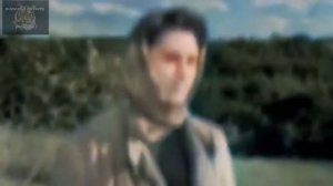 Огней так много золотых на улицах Саратова (Застольные песни)