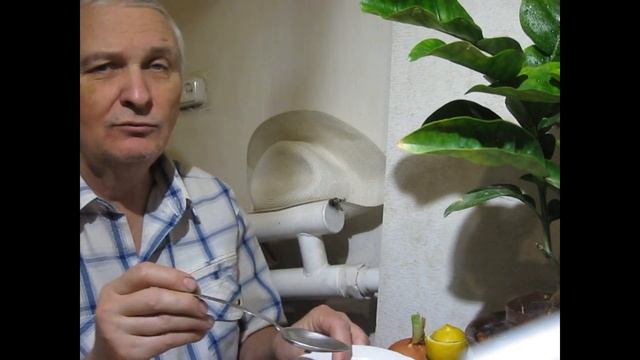 Энергетик своими руками.Опунция,лимон и пророщенная пшеница с зеленым луком. смотреть онлайн