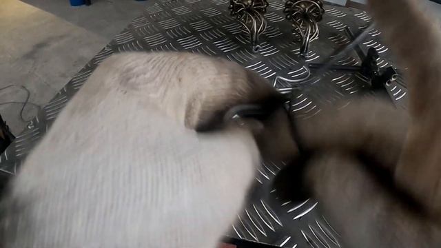 Кузнечная корзинка Ромашка смотреть онлайн