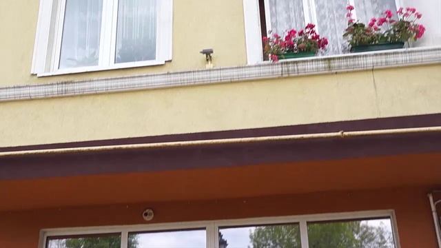 г.Зеленогорск_ смотреть онлайн