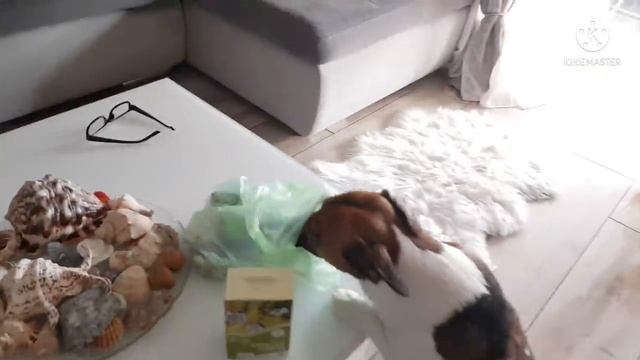 Поехал за посылкой! Привезли бройлеров! Что готовить на Новый Год смотреть онлайн