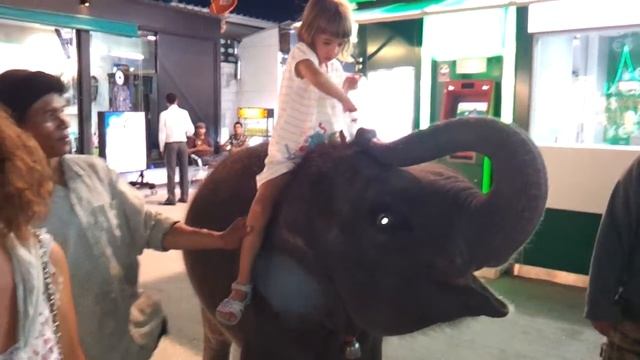 кормим слоненка смотреть онлайн