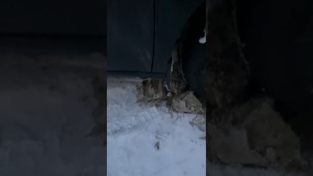 После того , как я поставил брызговики , проблема ушла. Льда и снега в двери больше нет ?? #хавал смотреть онлайн