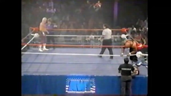 American Wrestling Federation Warriors of Wrestling March 27 1995