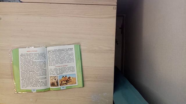 окр мир 4класс 