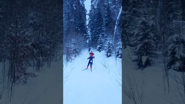 Сборы лыжной команды МГУ 2022 - вечерняя тренировка смотреть онлайн