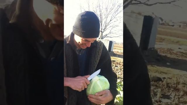 Вася Беляш - Паша Бизнес : Крадуть Капусту смотреть онлайн