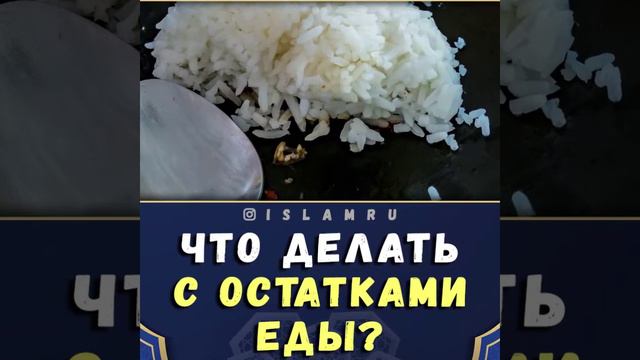 что делать с остатками еды?? смотреть онлайн
