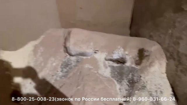 Производство комбикорма несушка премиум смотреть онлайн