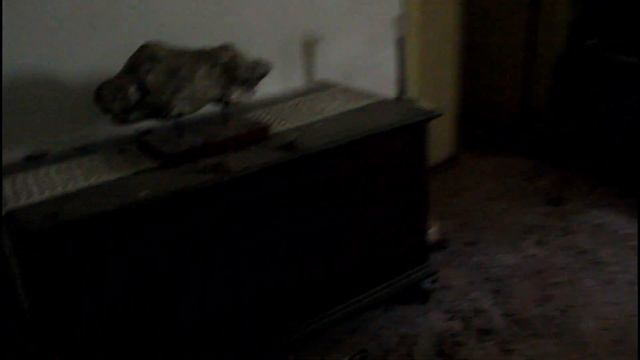Mysterious Abandoned house of Wealthy Family смотреть онлайн