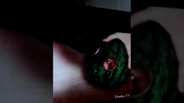 Смузи из арбуза смотреть онлайн