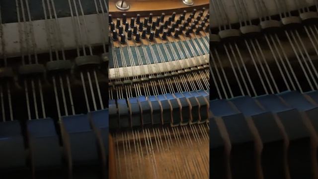 Старинный кабинетный рояль смотреть онлайн