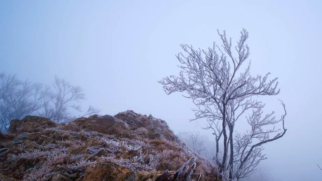 Музыка повышающая вибрации. Исцеление и восстановление положительной энергии. смотреть онлайн